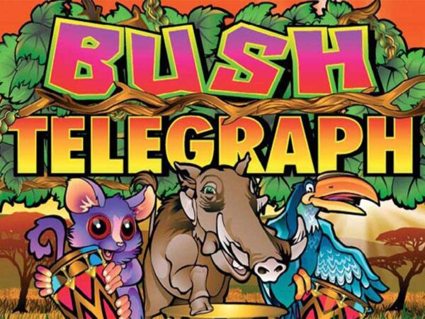  Bush Telegraph