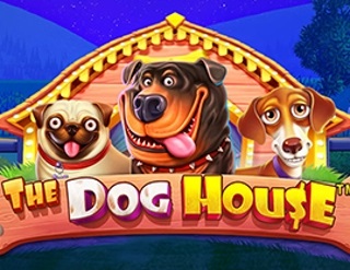  The Dog House