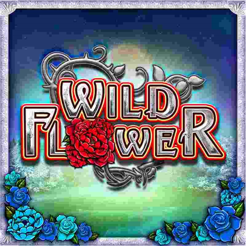  Wild Flower